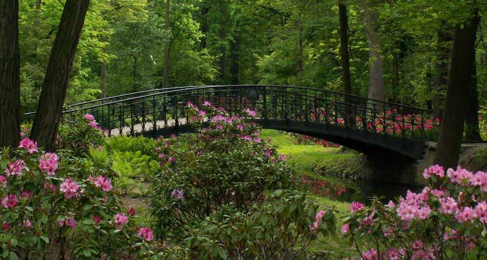 Park Szczytnicki - historia i przyroda