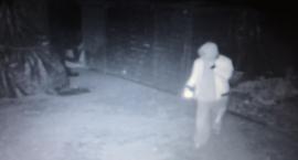 Pod Wrocławiem grasują złodzieje. Zobacz nagranie.
