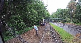 Na ratunek mamie kaczce i słodkim kaczątkom. Bohaterska postawa motorniczego MPK na al. Różyckiego. Zobacz film z tej niecodziennej akcji