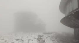 Śnieżka pod białym puchem. Pierwszy śnieg tej jesien…