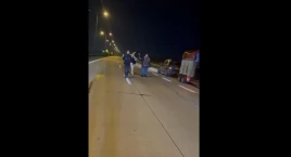 Koń uciekinier zatrzymany na A4. Nocna wędrówka auto&hellip;