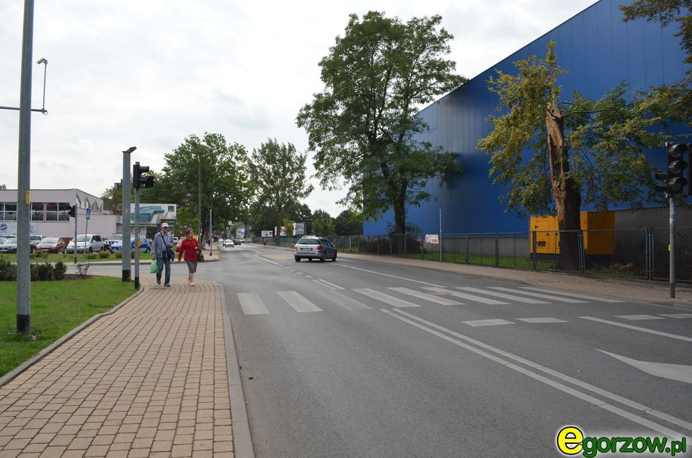 Blisko 590-cioma ofertami dysponuje w tej chwili Powiatowy Urząd Pracy w Gorzowie
