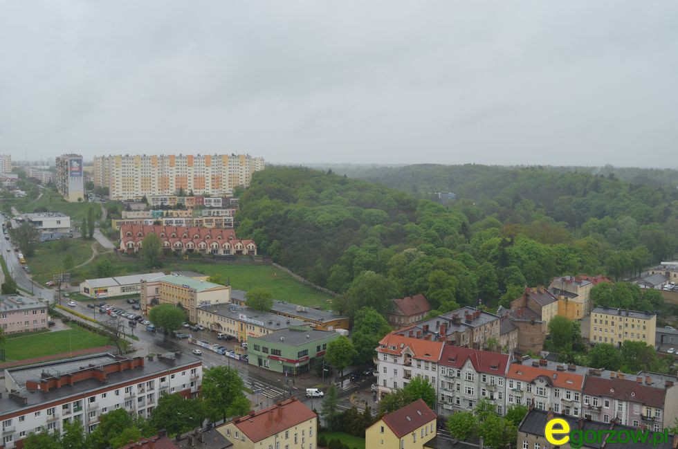 Będzie spójny system zieleni miejskiej w Gorzowie
