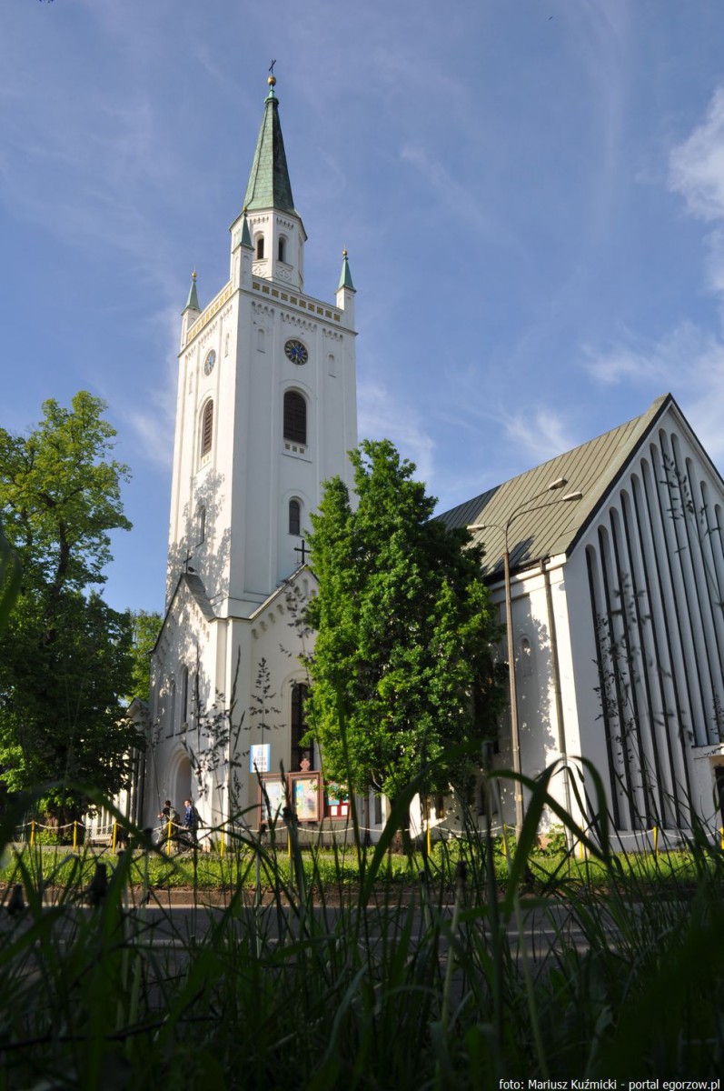 Archeolodzy z Muzeum Lubuskiego natrafili na kości ludzkie