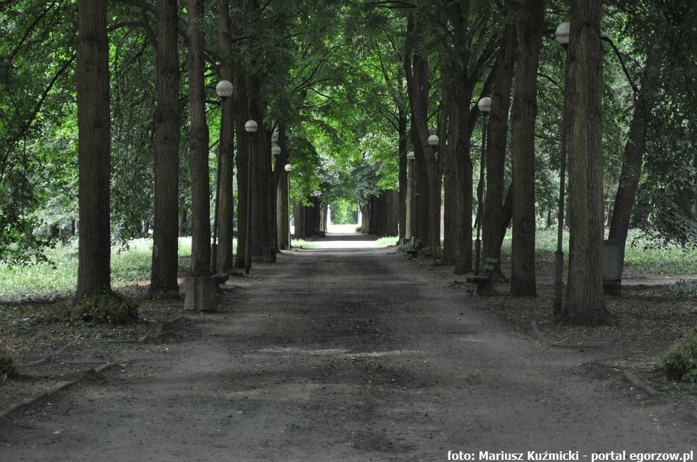 Powstaną projekty rewaloryzacji dwóch gorzowskich parków - Wiosny Ludów oraz Kopernika