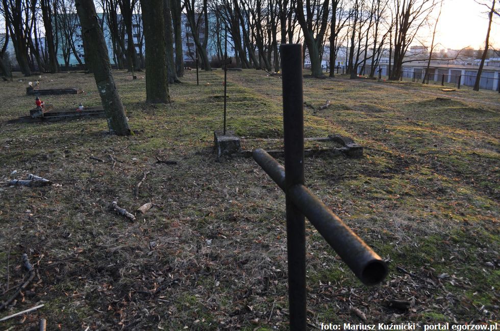 Archeolodzy odsłonili grób podczas remontu ul. Warszawskiej