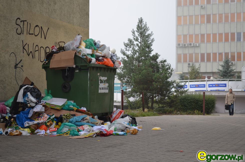 Rozpoczęła się międzynarodowa akcja 