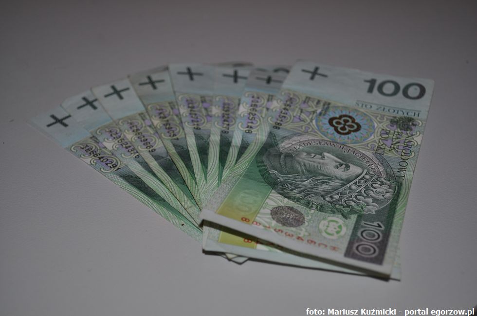 Dofinansowanie projektu rozwoju usług elektronicznych