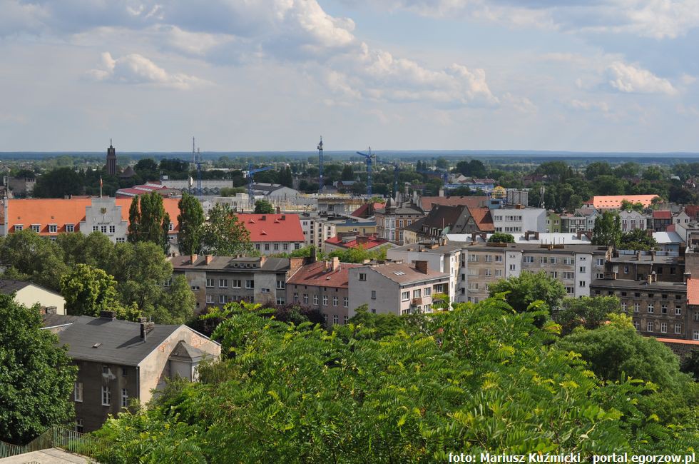 Powraca temat zagospodarowania Alejek