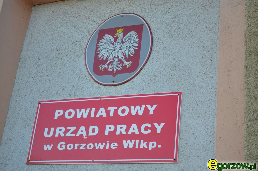 Bezrobocie w Gorzowie wynosiło w maju 4,6 procenta