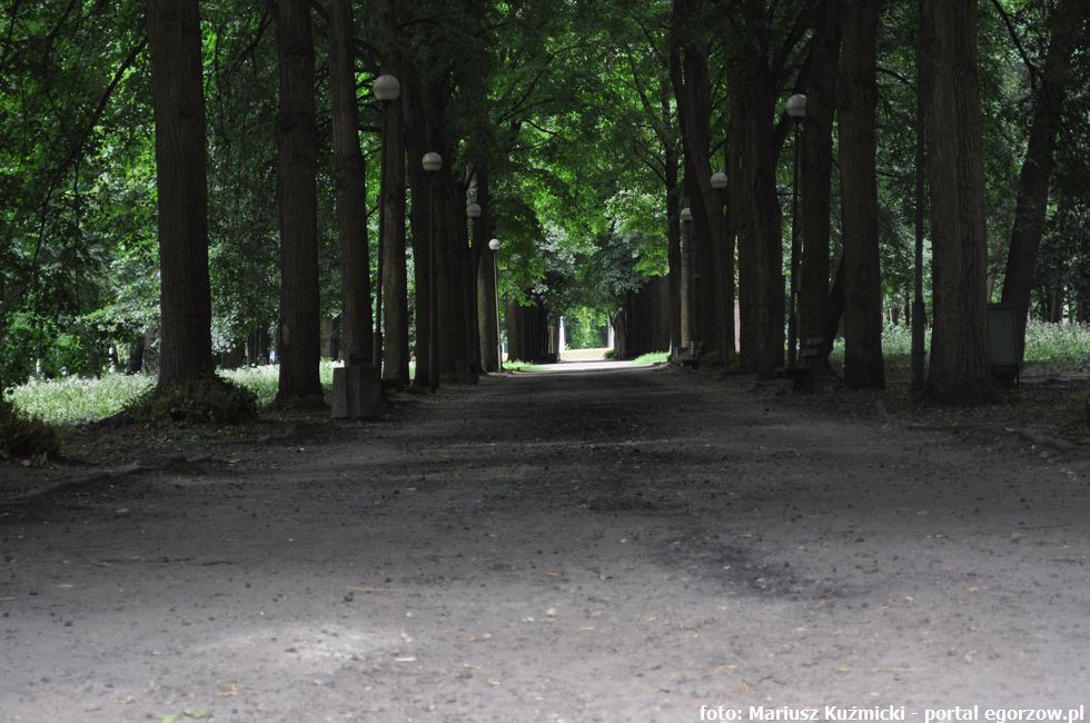 Park Wiosny Ludów i Park Kopernika zostaną zrewitalizowane