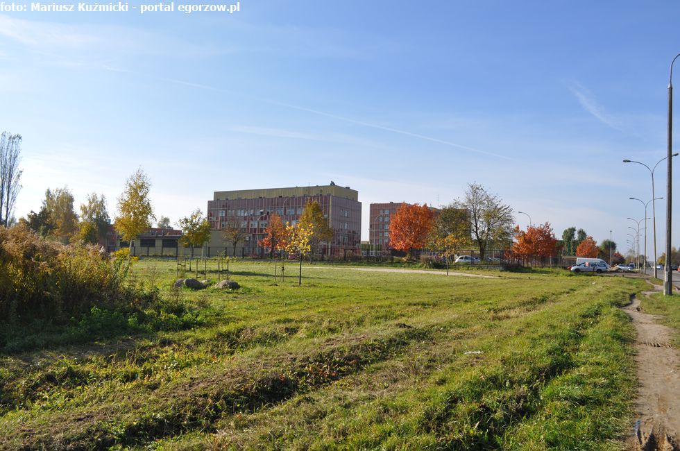 Bezpłatne badania USG dla kobiet po 35. roku życia