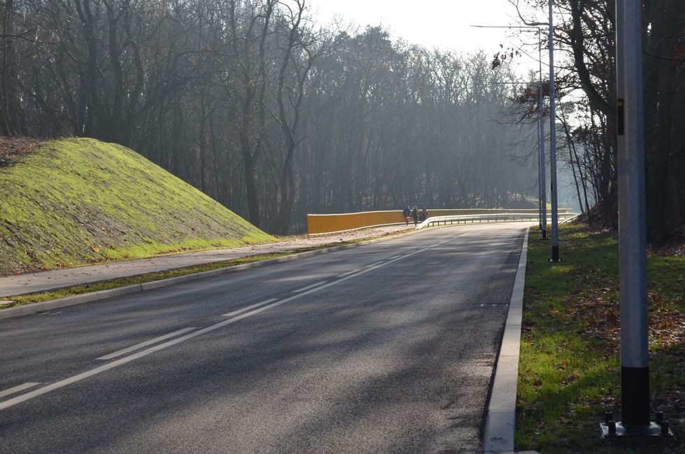 Ruszyły przygotowania do budowy drugiej jezdni ul. Myśliborskiej