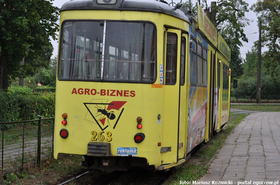 Gorzów chce zbadać preferencje zachowań pasażerów