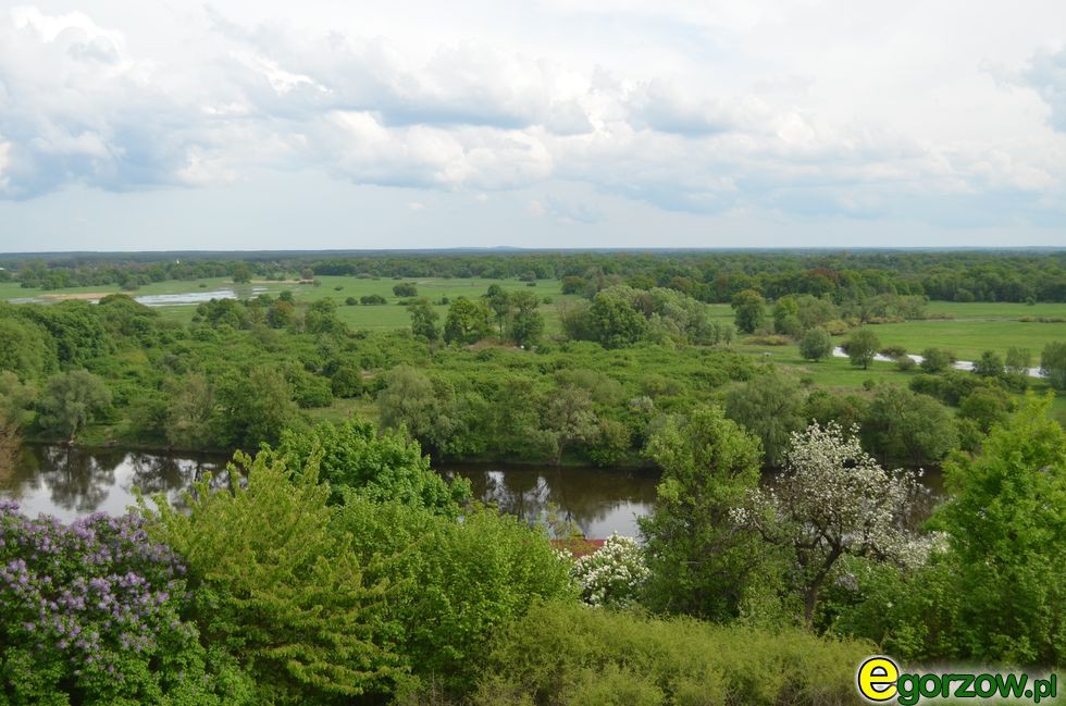 Włodzimierz Czarzasty odwiedził Gorzów