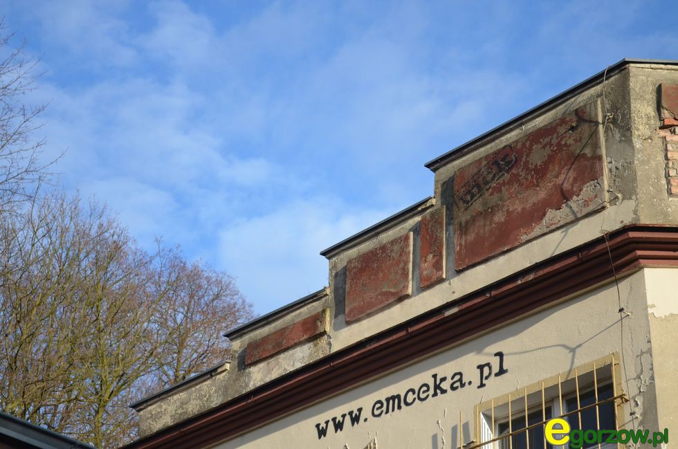 Targi kolekcjonerskie w MCK