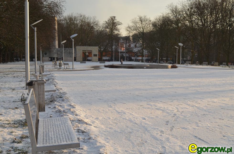 Plac Grunwaldzki zimą - zdjęcia