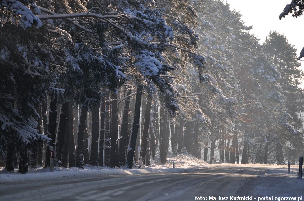 Początek ferii zimowych 18.01.2016