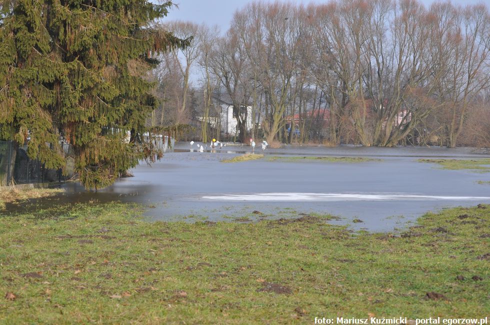 Prace porządkowe na terenie Kanalu Ulgi
