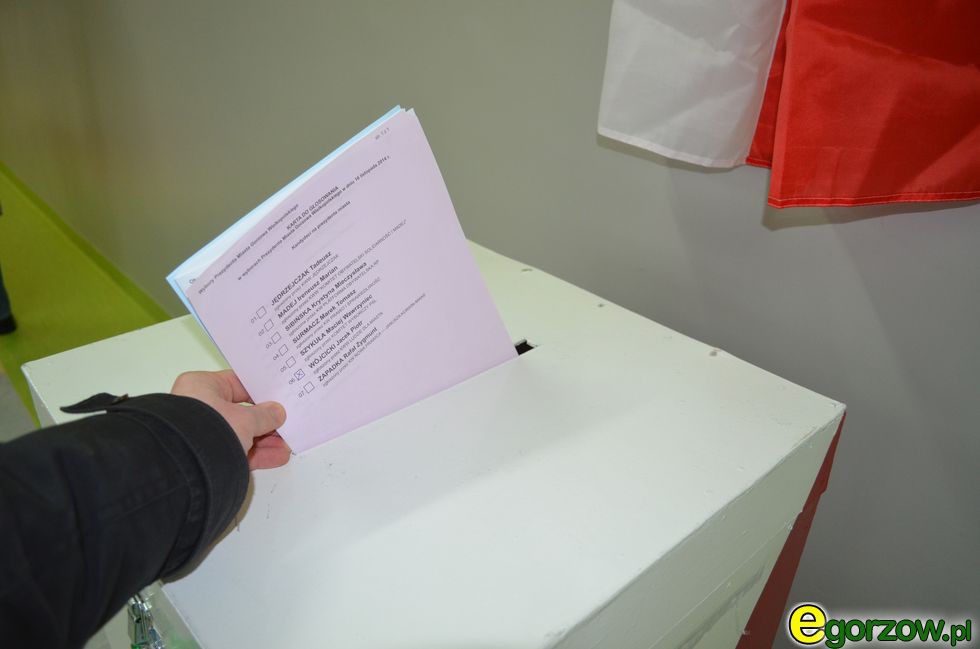 Jak wygląda sondażowy podział mandatów dla woj. lubuskiego?