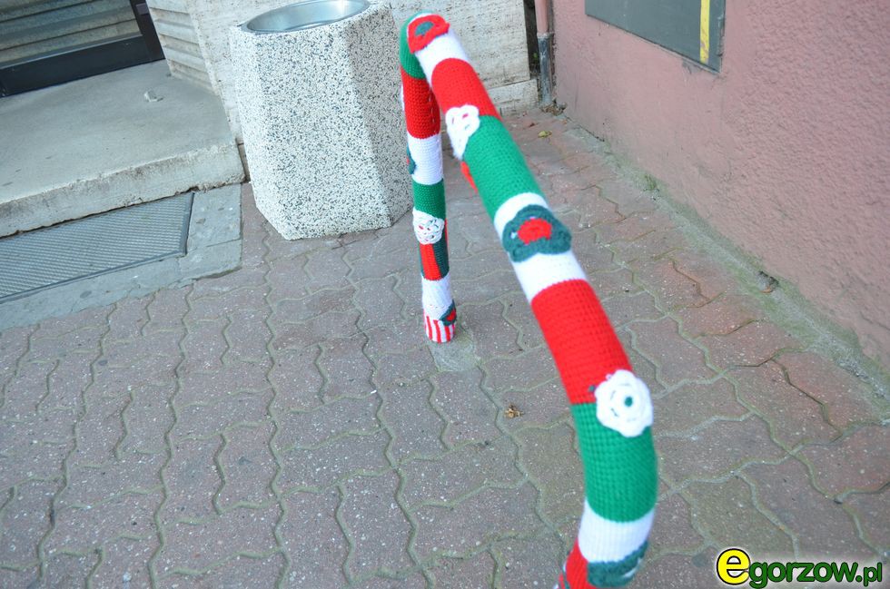 Stojak na rowery pod gorzowskim magistratem