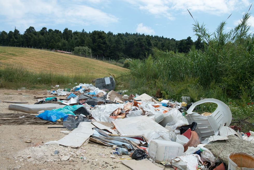 Widzisz wysypisko śmieci w pobliskim lesie?