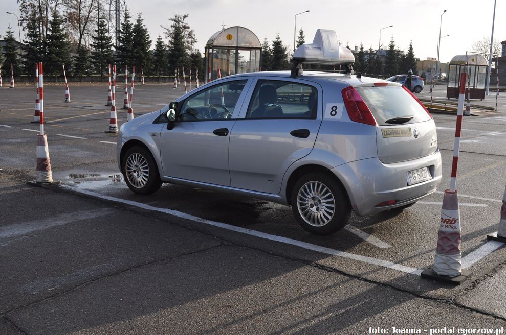 Elki pod lupą gorzowskiej drogówki