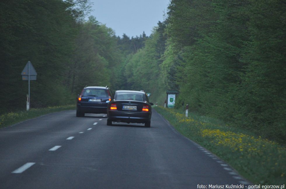 Więcej patroli na lubuskich drogach