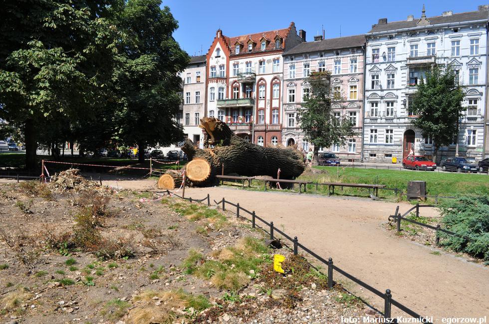 Ludzie dla Miasta o reklamach w centrum Gorzowa