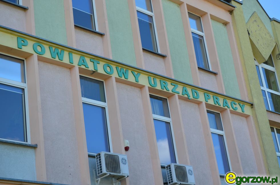 W kwietniu spadło bezrobocie do 11,3 proc. z 11,7 proc.