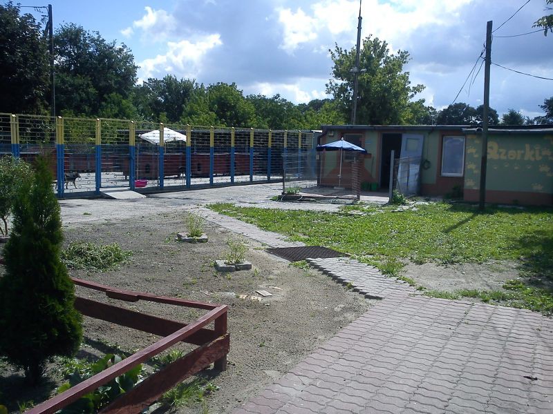 Wakacje z apetytem w schronisku Azorki