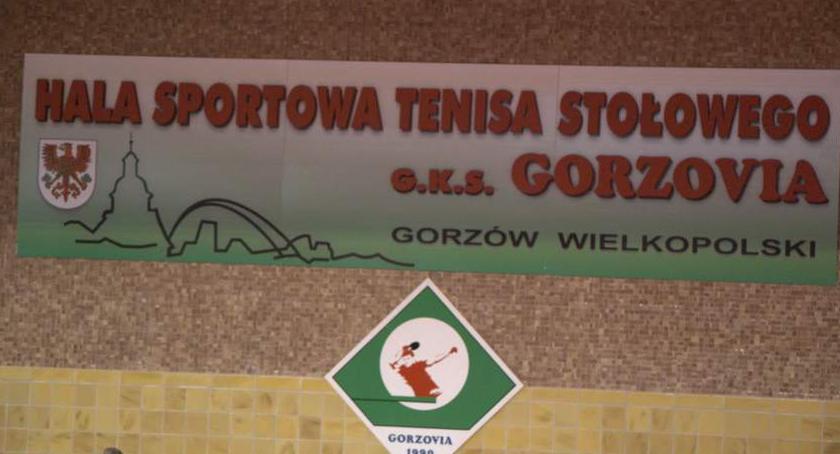 GKS MojeBermudy.pl Gorzovia Gorzów - Poltarex Pogoń Lębork 18.11.2017r., godz. 16