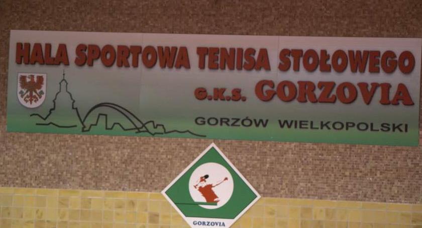 Koniec serii. Gorzovia przegrała w Gdańsku