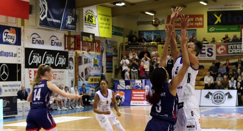 InvestInTheWest ENEA Gorzów - Arka Gdynia 03.02.2019r., godz. 18