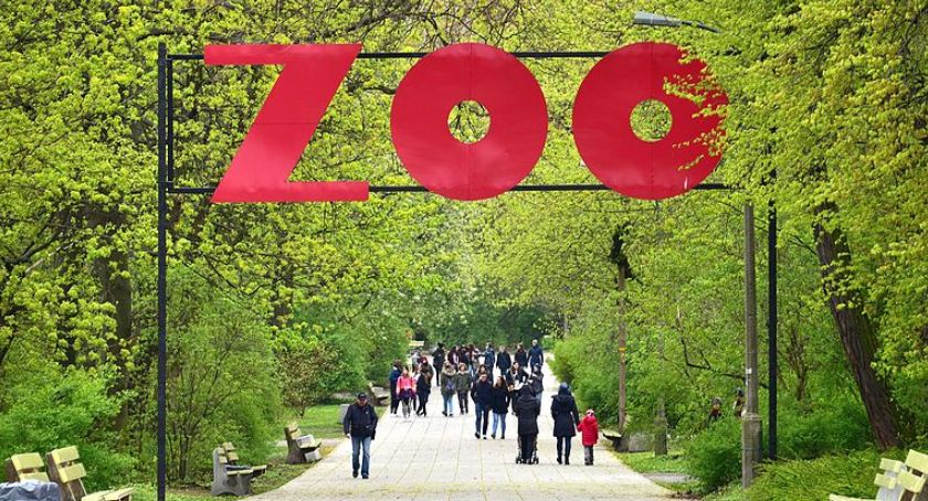 Warszawskie ZOO już nie tylko wirtualnie! 