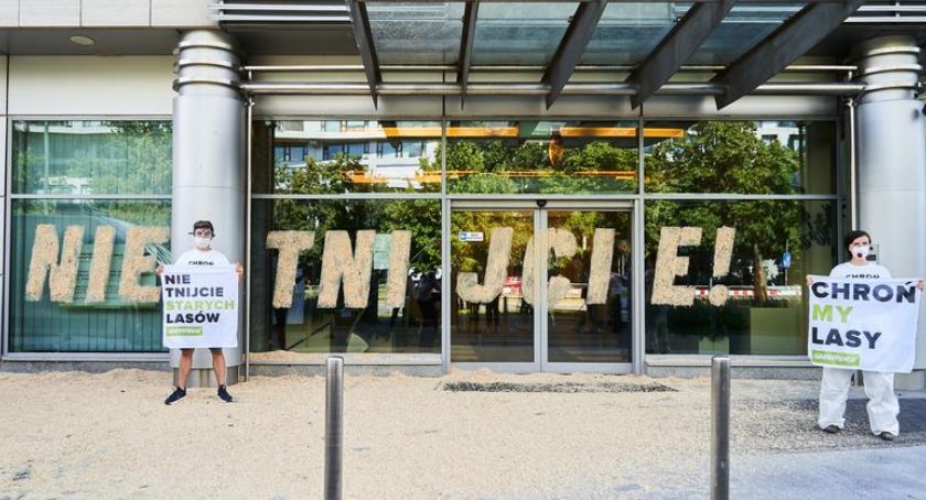 Protest Greenpeace pod siedzibą Lasów Państwowych. Uczestnicy aresztowani 