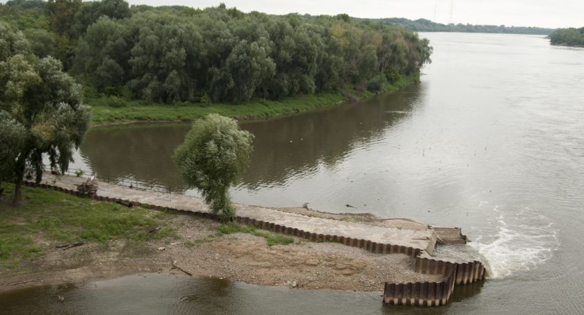Śnięte ryby w Wiśle. MPWiK przekazał wyniki badań