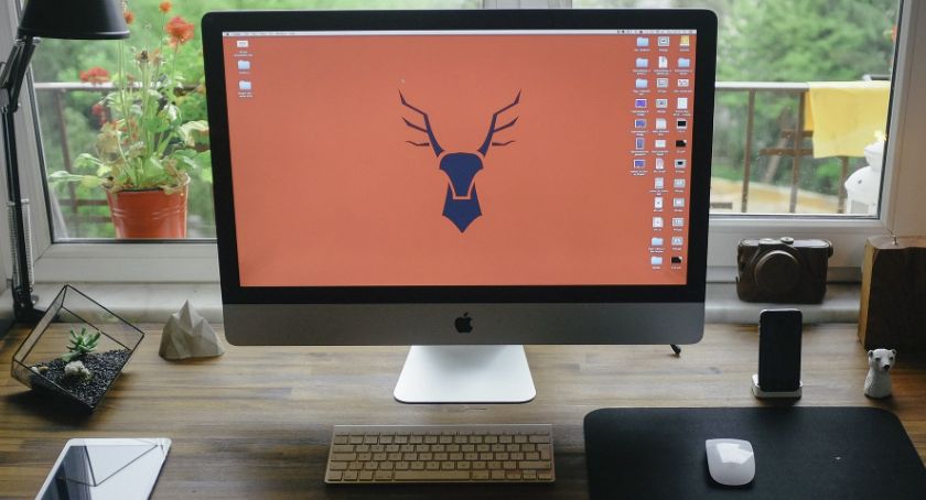 Czy opłaca się kupić laptopa poleasingowego?