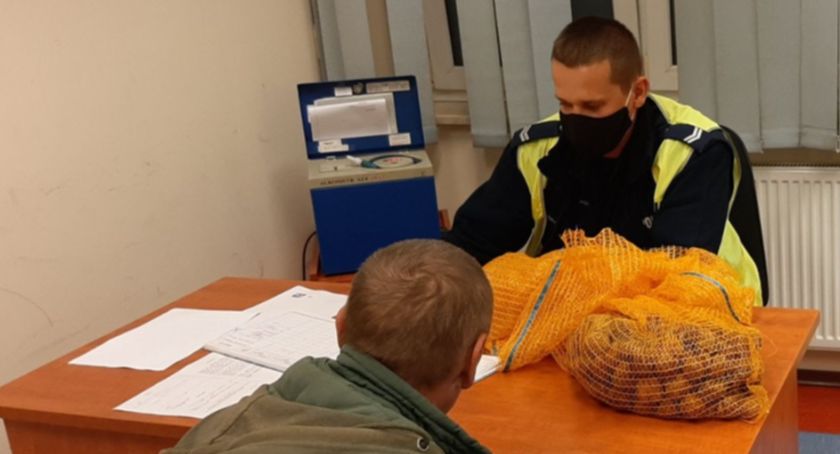 Amator włoskich orzechów w rękach policji. Wpadł z workiem orzechów na plecach