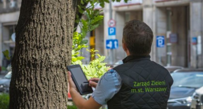 Jak zmieniła się warszawska zieleń w 2020 roku? 