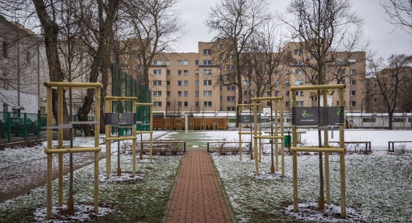 Zieleń Warszawska przy placówkach edukacyjnych