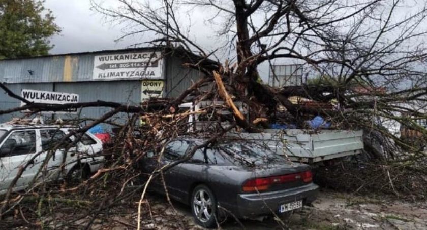 Ogromne straty po przejściu burzy na Mazowszu. Połamane drzewa spadały na samochody
