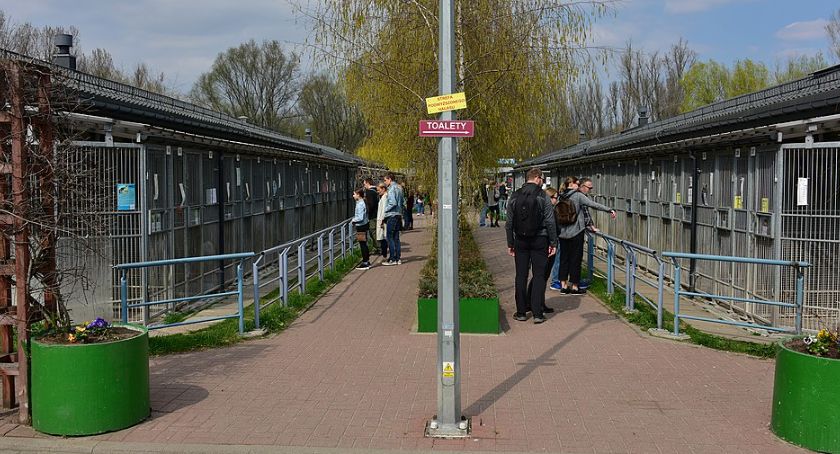 Schronisko Na Paluchu już po kontroli. Co się okazało?