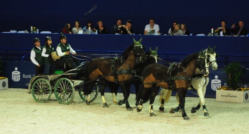CAVALIADA na Torwarze! Jedyne takie wydarzenie w Warszawie 