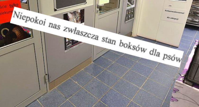 Schronisko Na Paluchu: radni reagują na problem?