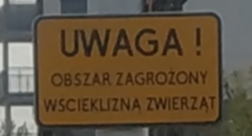 Kolejne obszary zagrożone wścieklizną. ZDM stawia tablice informujące