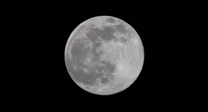 Wilcza pełnia Księżyca uchwycona przez naszego fotografa. Zobaczcie zdjęcia!