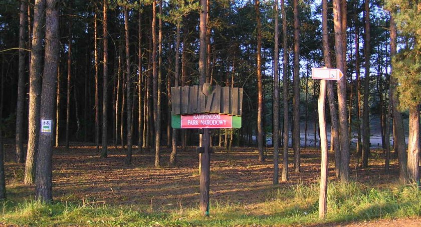 Koniec darmowych spacerów po Kampinosie, szykują się zmiany!