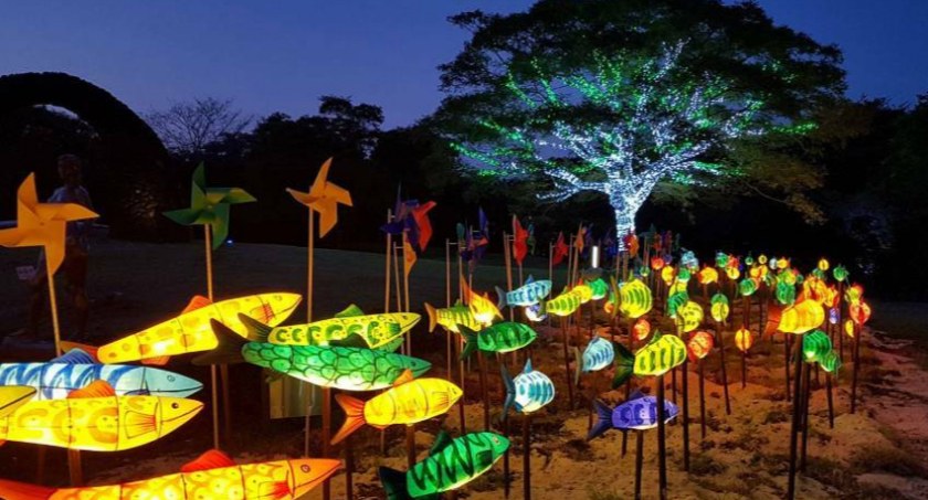 Iluminacje w Warszawskim Ogrodzie Botanicznym! 