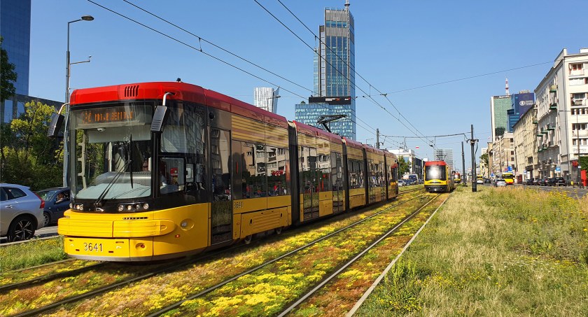 Przybywa zielonych torowisk tramwajowych. Teraz pora na centrum!